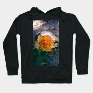 Rose - Fire Within Hoodie